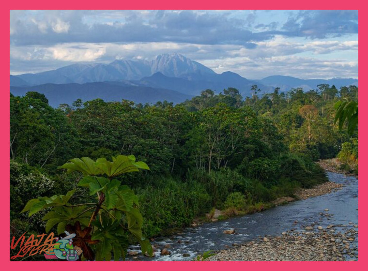 Norte y Amazonía 10 días Trujillo Chachapoyas Iquitos selva - Norte y Amazonía