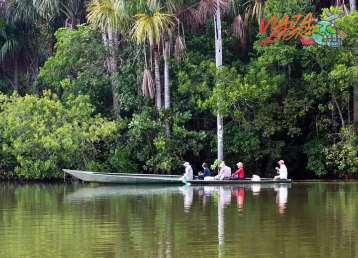 Paquete de viaje de lujo a la selva peruana: experiencia en el Refugio Amazonas