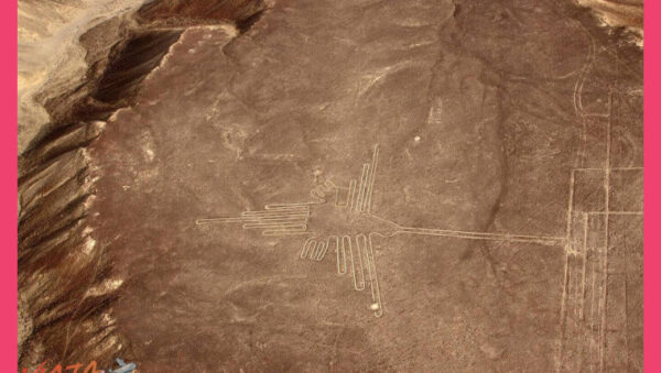 Paquete Líneas de Nazca y Paracas 2 días desde Lima islas Ballestas - Paquete Líneas de