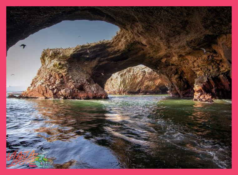 Paracas reserva nacional e islas Ballestas imperdibles - Paracas reserva nacional