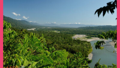 Parque Nacional Manu biosfera 6 días biodiversidad máxima Amazonía - Parque Nacional Manu