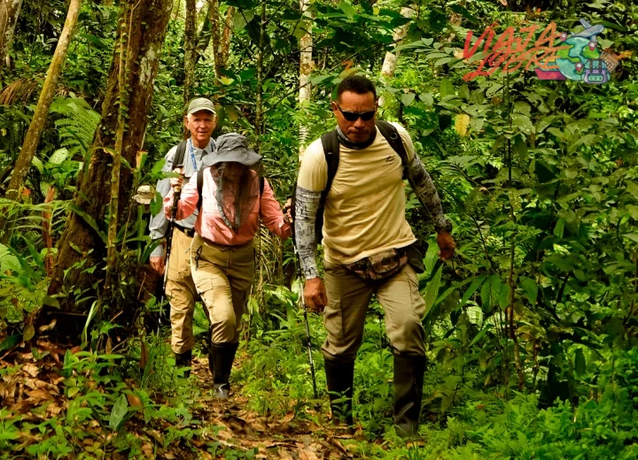 Paso 1 — Cómo encontrar agua potable sin enfermarse en la Amazonía