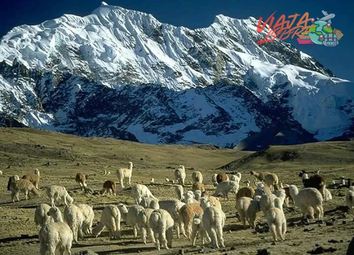 Planificación de rutas en la Cordillera Blanca: claves para un tour de varios días