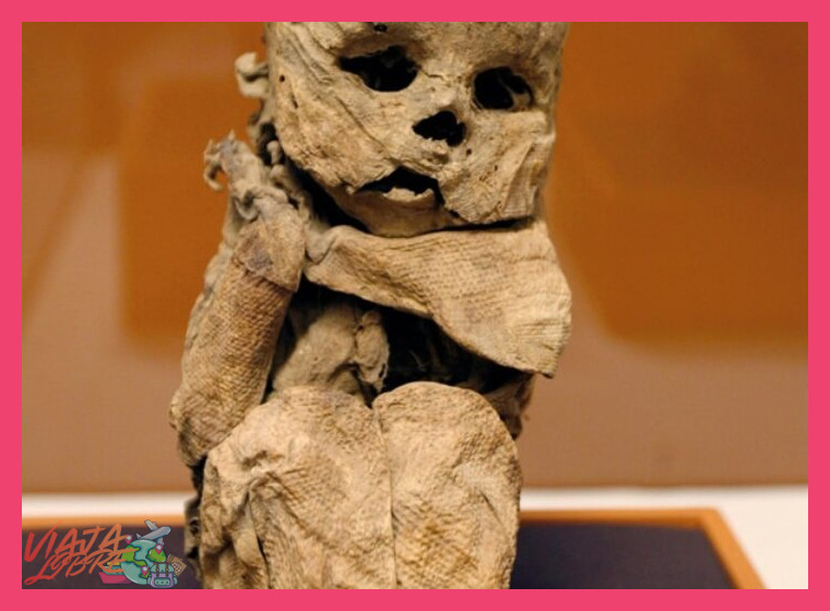 ¿Podemos ver las momias de la cultura Chachapoya en Leymebamba?