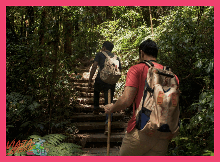 Preparación y Consideraciones Éticas para el Viajero