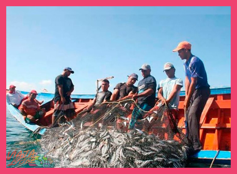 ¿Qué actividades relacionadas con el tejido y la pesca se realizan durante la estancia?