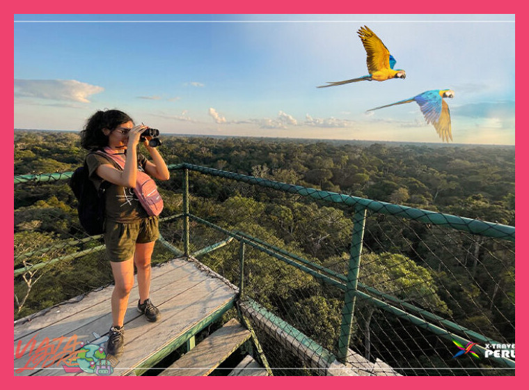 ¿Qué actividades turísticas específicas, como senderismo o avistamiento de aves, se pueden realizar en el recorrido hacia la catarata Gocta?