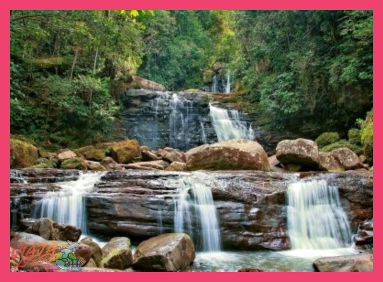 ¿Qué actividades y atractivos naturales, como las cascadas, incluye una estancia rural en la región de Lamas, cerca de Tarapoto?