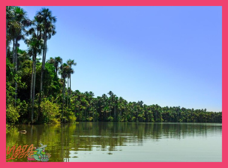 ¿Qué características ecológicas hacen del Lago Sandoval un hábitat excepcional para la observación de caimanes y monos en el tour Tambopata?