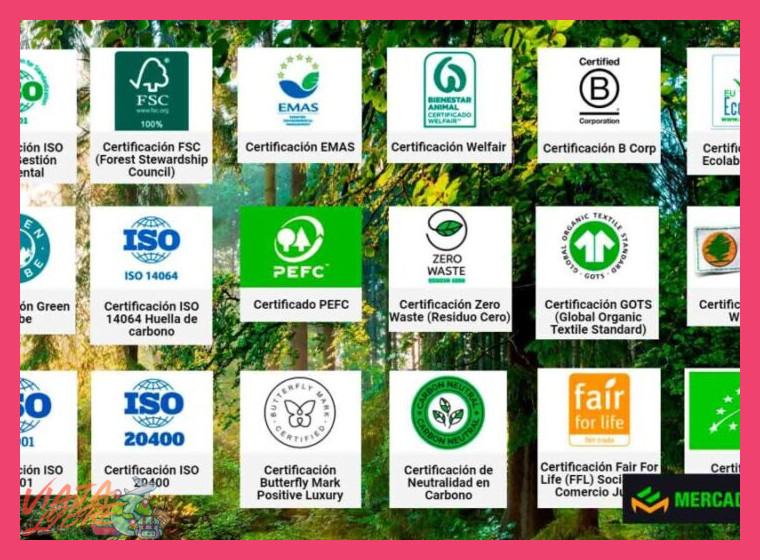 ¿Qué certificaciones o reconocimientos de sostenibilidad debo buscar en un lodge ecológico?