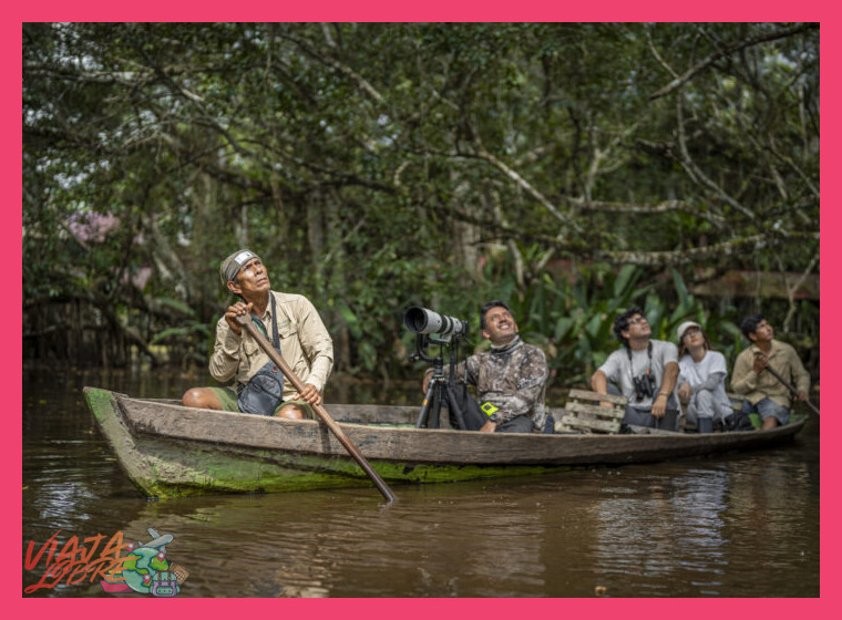 ¿Qué comunidades ribereñas, tanto indígenas como mestizas, habitan en la cuenca del río Amazonas en el ámbito de Yurimaguas, y cuáles son sus principales características socioculturales?
