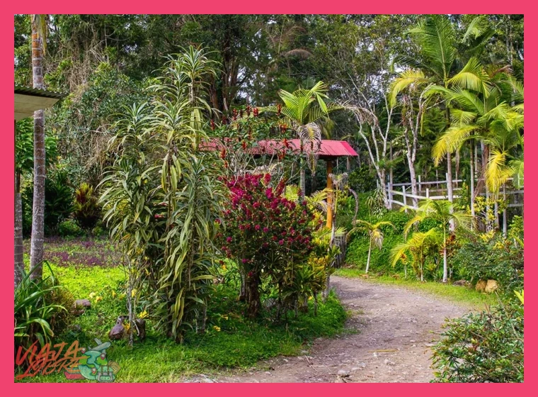 ¿Qué destinos específicos dentro de la provincia de Chanchamayo son reconocidos por sus cafetales y experiencias de agro-turismo familiar?