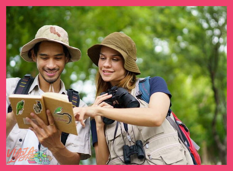 ¿Qué equipo esencial debo llevar para esta experiencia de observación de aves?