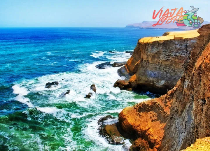 Qué es la Reserva Nacional de Paracas y cómo visitarla