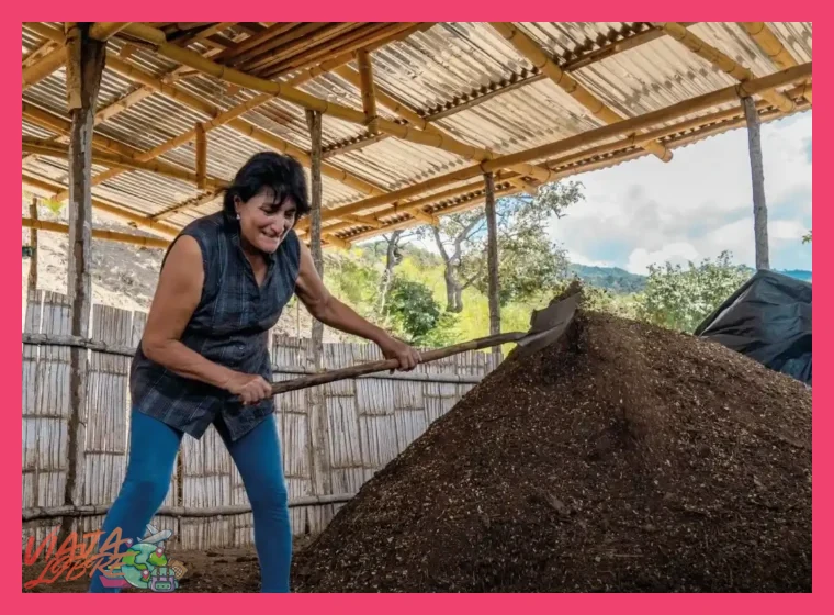 ¿Qué hace únicas a las fincas orgánicas de Cajamarca?