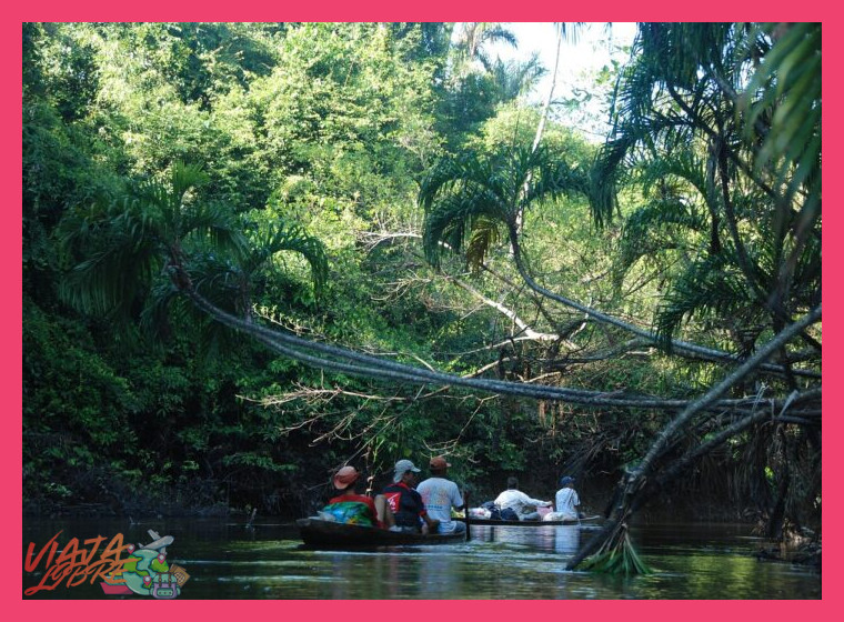 ¿Qué incluye exactamente un tour auténtico por la Amazonía norte desde Yurimaguas?