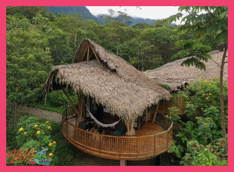 ¿Qué infraestructura y servicios definen a un alojamiento verdaderamente ecológico en la selva?