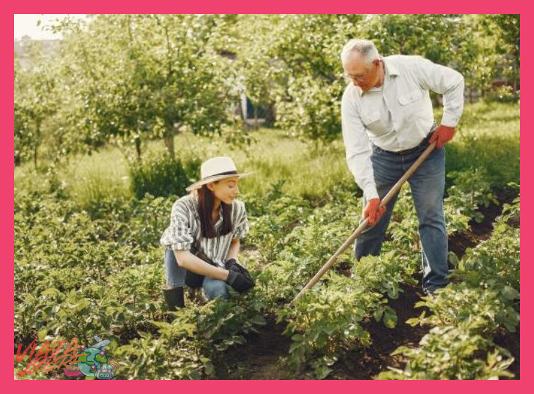 ¿Qué otras actividades agro-turísticas se pueden hacer además de la cosecha?