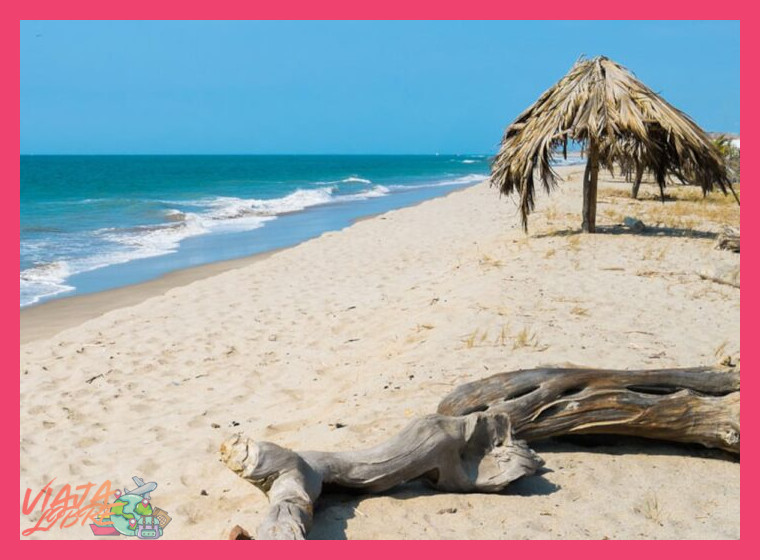 ¿Qué playa en Tumbes destaca por su biodiversidad y entorno natural bien conservado para los visitantes?