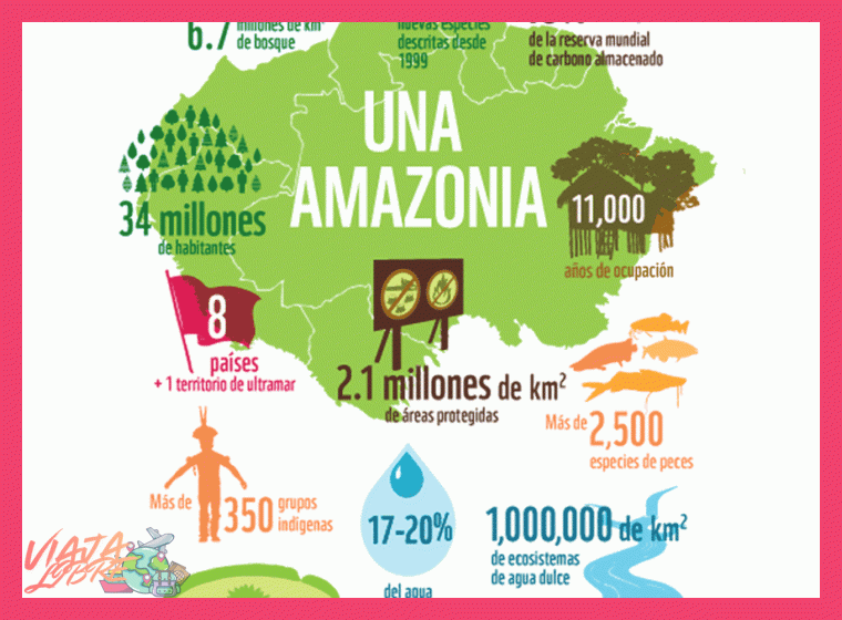 ¿Qué porcentaje aproximado de la biodiversidad mundial y amazónica está representada en el Parque Nacional del Manu?