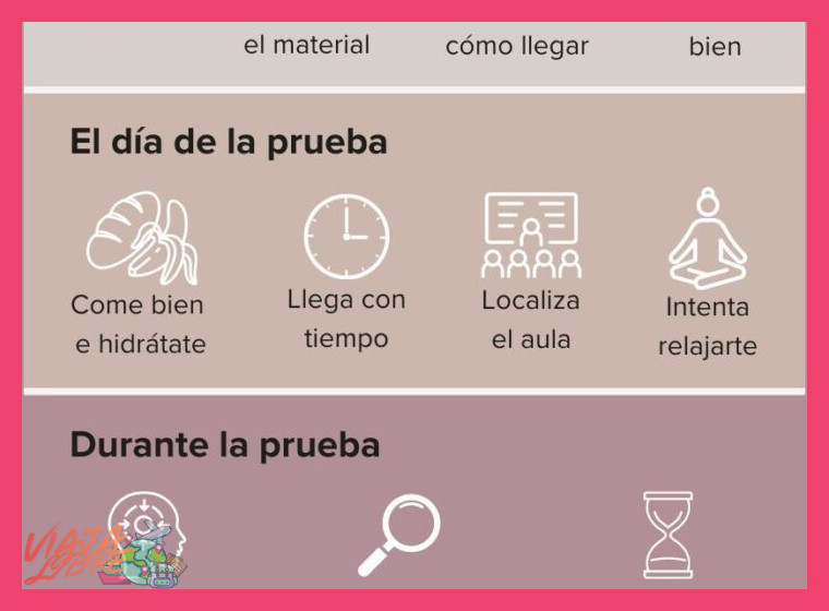 ¿Qué preparación o consideraciones especiales debo tener antes de participar?