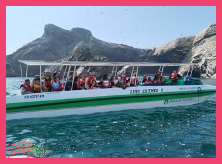 ¿Qué puedo ver exactamente en las Islas Ballestas?
