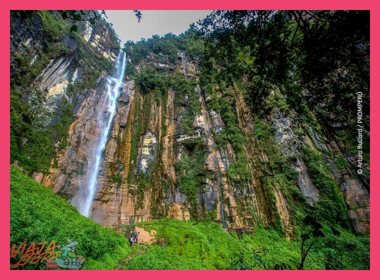 ¿Qué regiones o áreas protegidas de la selva peruana ofrecen la mejor experiencia de ecoturismo?