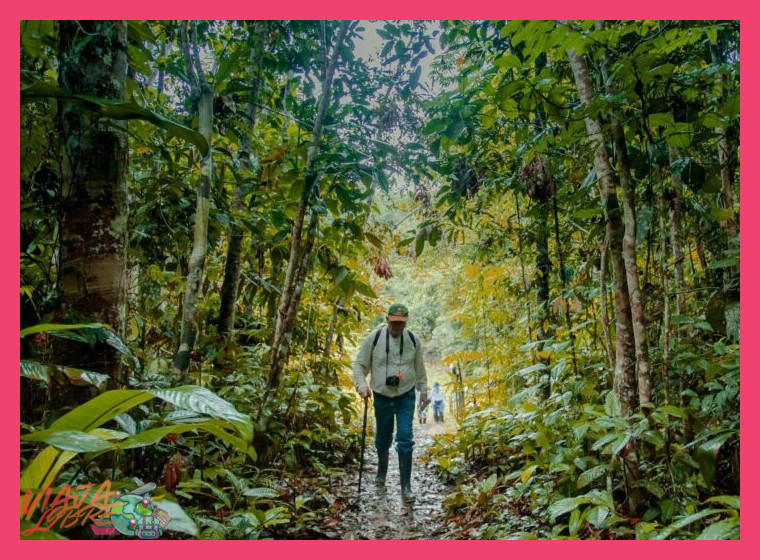 ¿Qué son exactamente las experiencias sostenibles en la Amazonía?