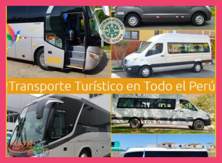 ¿Qué tipo de alojamiento y transporte están incluidos típicamente?
