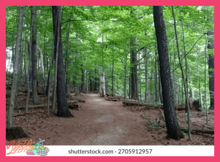 ¿Qué tipo de aventura off the beaten path o fuera de lo común se vive en este viaje?