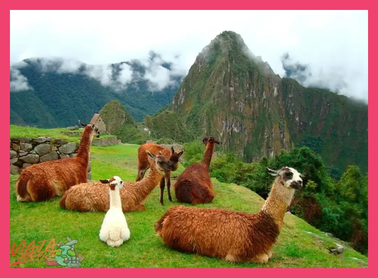 ¿Qué tres atractivos emblemáticos de la sierra peruana son imperdibles y de bajo coste para el visitante?