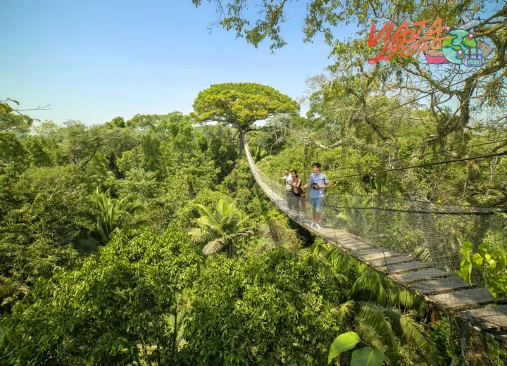 Qué ver en la selva peruana como destino único