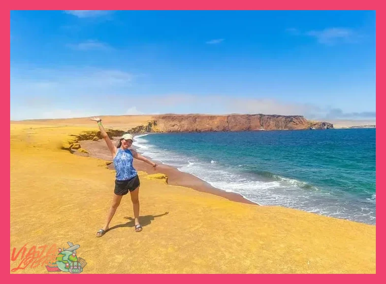 Recomendaciones prácticas para tu visita