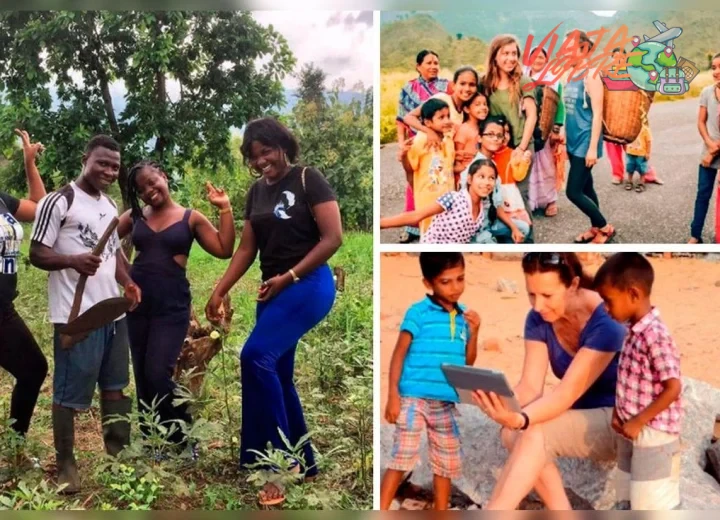 Revisar experiencias reales en Worldpackers y Adventure Volunteer