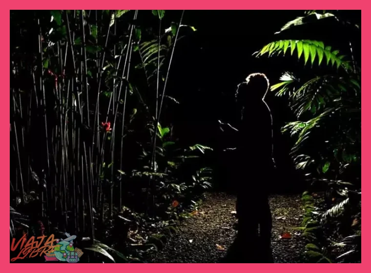 Ritmos y Sonidos: Experiencias Sensoriales Nocturnas y Diurnas