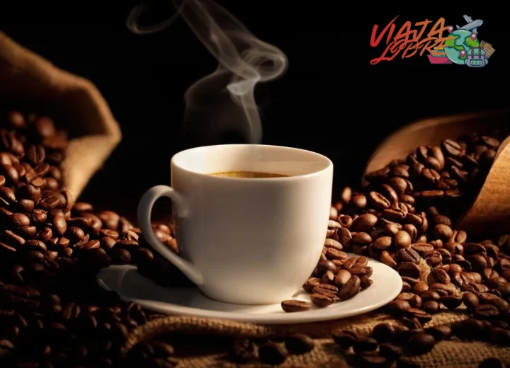 Ruta del café guatemalteco en Antigua: visitas a fincas históricas y catas