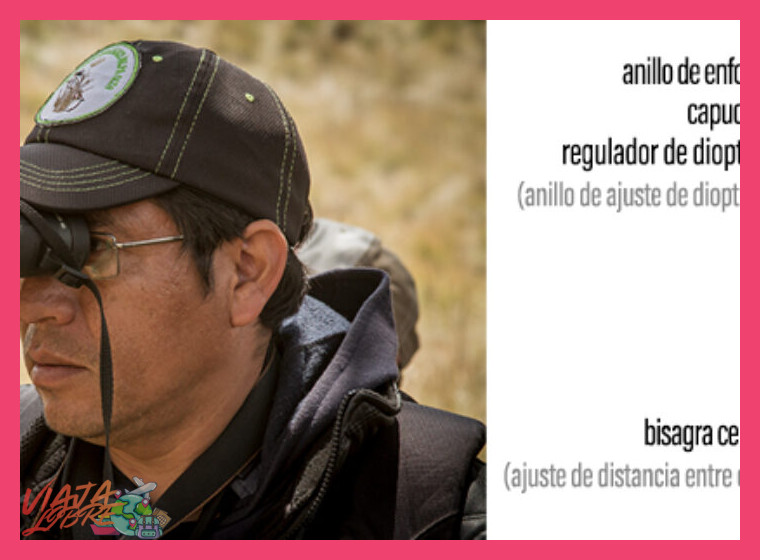 ¿Se necesita un guía especializado para observar aves en estas regiones?
