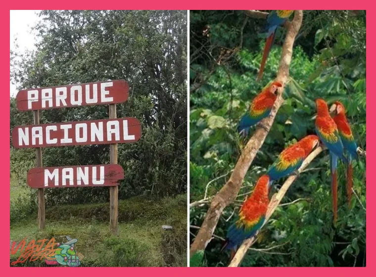 ¿Se necesita un permiso especial y un guía para ingresar al parque?
