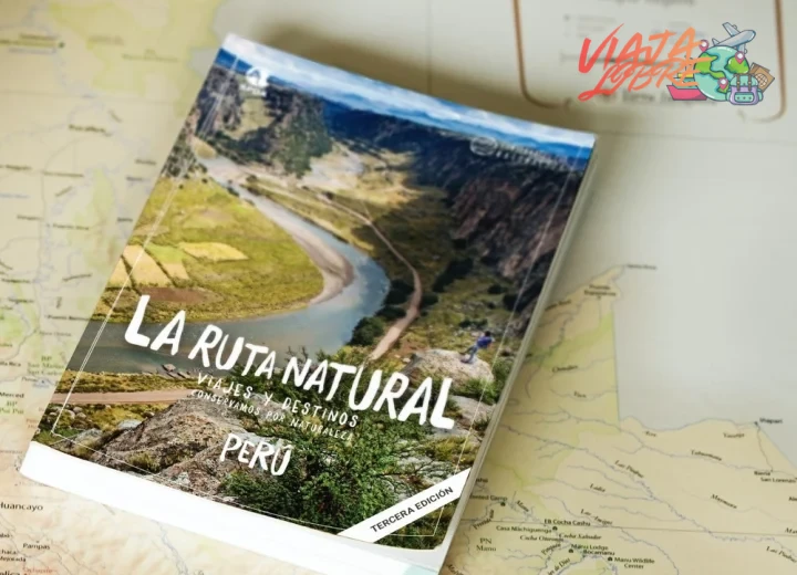 Senderismo en los Alpes suizos: rutas para principiantes y expertos