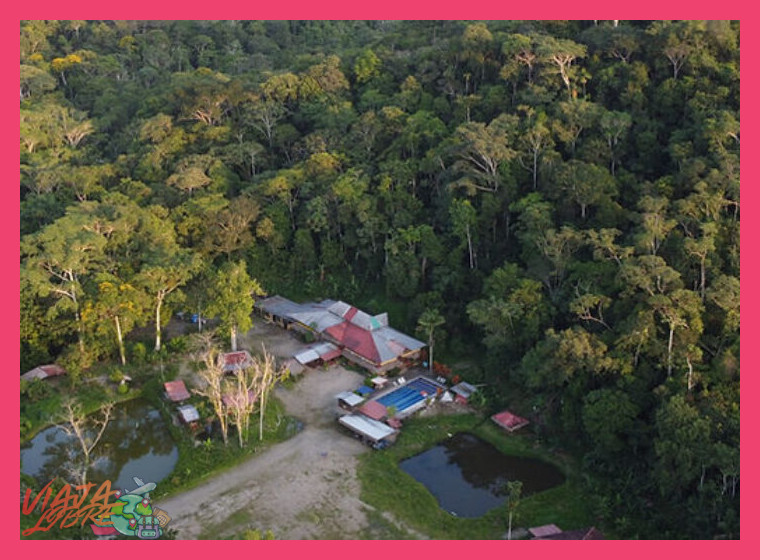 Servicios, ubicación y experiencia de alojamiento en el Grand Selva Lodge.