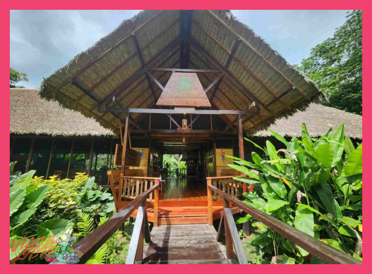 Servicios y programas operados por la agencia JunglePro en la Finca Sachavacayoc.