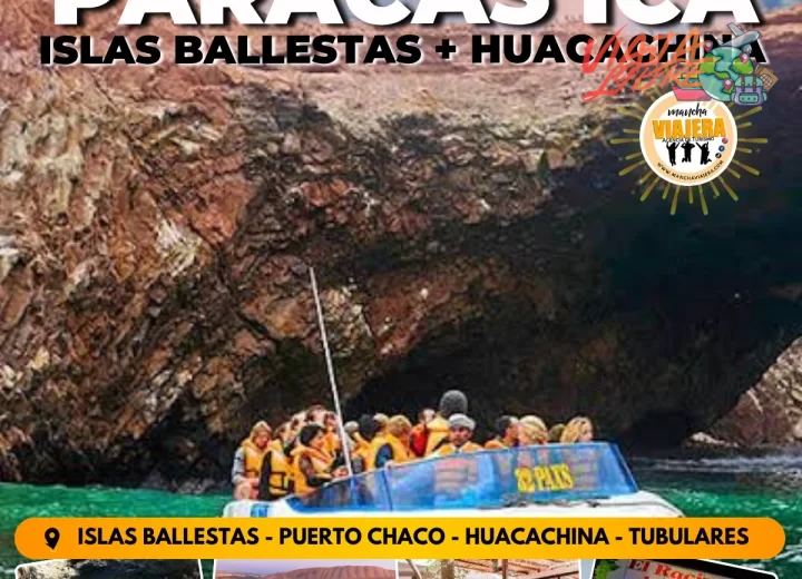Transporte ida y vuelta desde Lima o Paracas en bus turístico