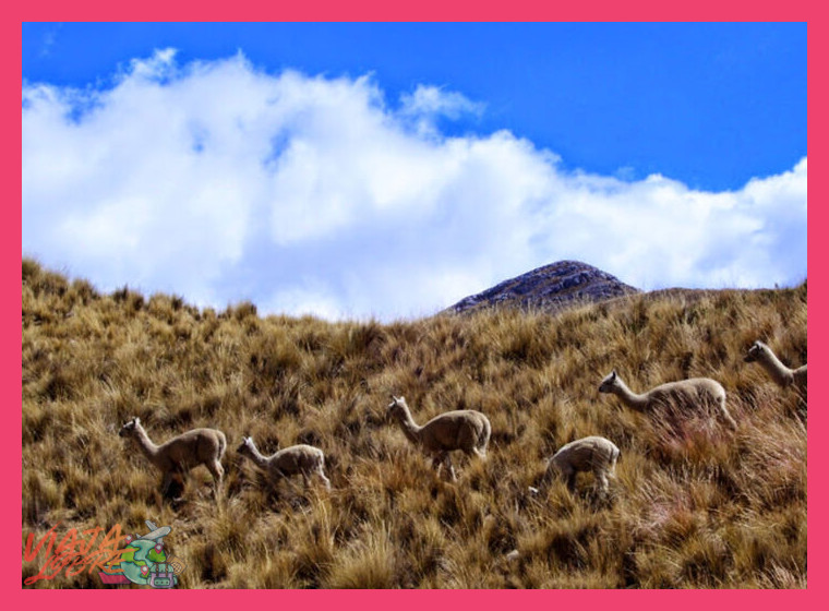 Turismo rural en Huancaya Yauyos lagunas turquesas y comunidades altoandinas - Turismo rural en