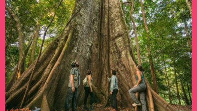 Turismo sostenible en la Amazonía peruana lodges responsables - Turismo sostenible en