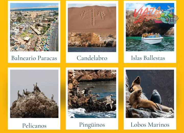 Visita a la playa Roja y observación de fósiles en la formación rocosa